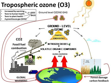 What Is Tropospheric Ozone ~ Climate Change