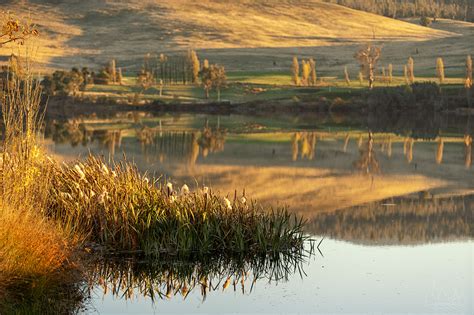 Meadowbank Lake Reflection Tasmania Australia Australia