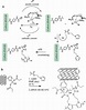 The synthesis steps in e-ATRP (a) and the RAFT (b) polymerization of ...
