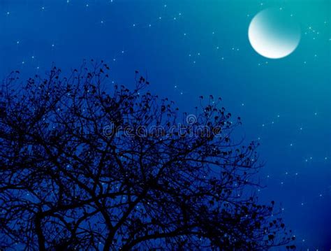 Moonlit Starry Night Stock Illustration Illustration Of Winter 120245556