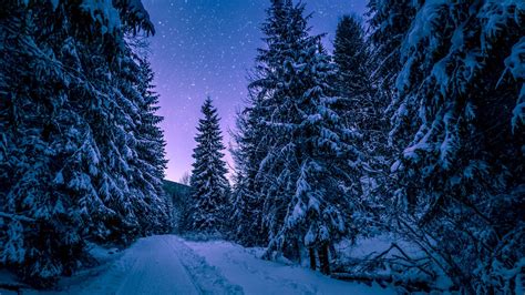 Download Wallpaper 1366x768 Winter Forest Road Snow Starry Sky