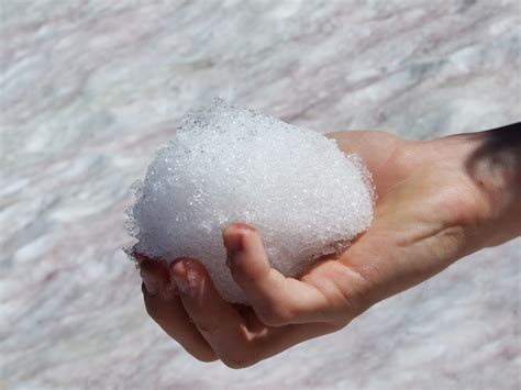 Snowball Free Stock Photo Public Domain Pictures