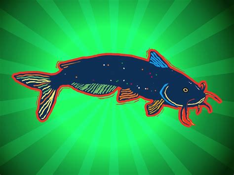 Catfish Illustration Vector Art And Graphics