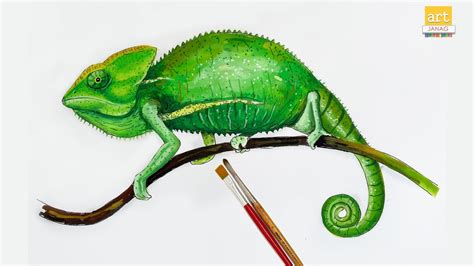 How To Draw A Chameleon Easy Ii Chameleon Drawing Ii Artjanag Youtube