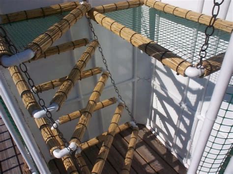 How To Build Iguana Cages From