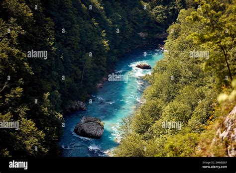Beautiful Nature Scenery Blue River Flowing Through Forest Aerial