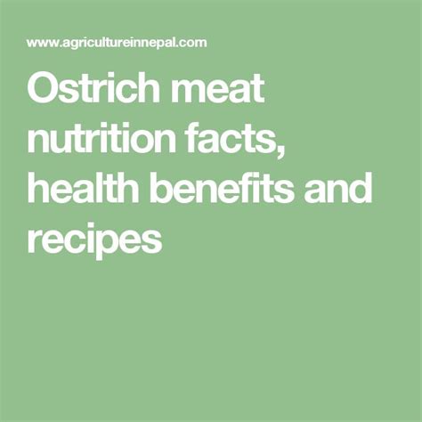 Ostrich Meat Nutrition Facts Health Benefits And Recipes Meat