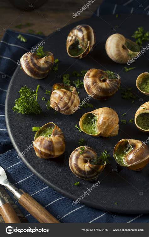 Fancy French Hot Escargot Appetizer Stock Photo By ©bhofack2 175670156