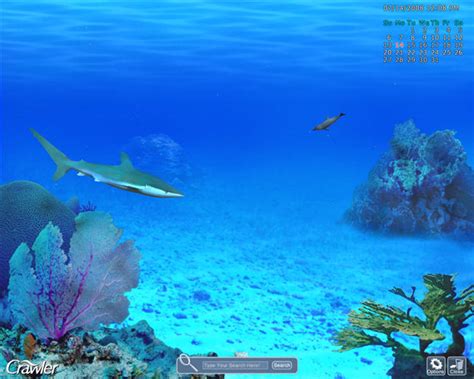 3d Marine Aquarium Screensaver Download