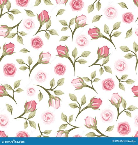 Seamless Pattern With Roses Royalty Free Stock Images Image 37503049
