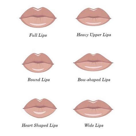 which lip shape is your favorite i must say i think they are all beautiful if they match the