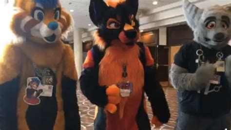 Hundreds Dress In Colorful Costumes For Furries Convention Held In