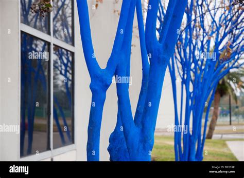 Blue Trees By Konstantin Dimopoulos Stock Photo Alamy