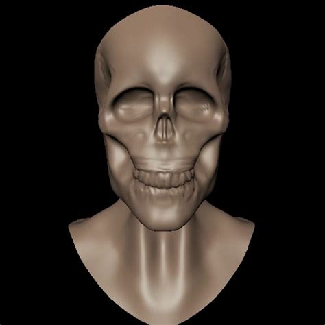 Artstation 3d Skull Model