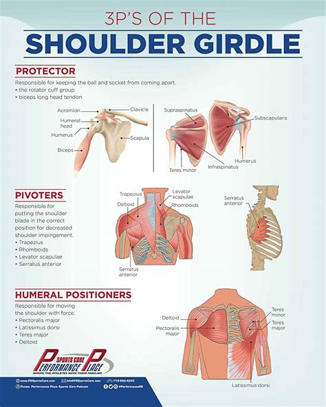 9 Shoulder Pain Stats Every Pitcher Should Know
