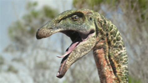 Image Therizinosaurus Head The Giant Clawpng Walking With Wiki