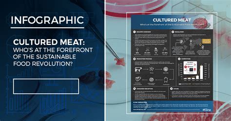 Cultured Meat Whos At The Forefront Of The Sustainable Food