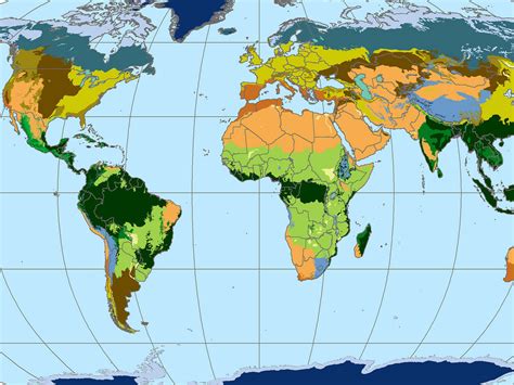 Fifty seven percent of all tropical rainforests are found in latin america. Lesson Plan | Discovering Rainforest Locations