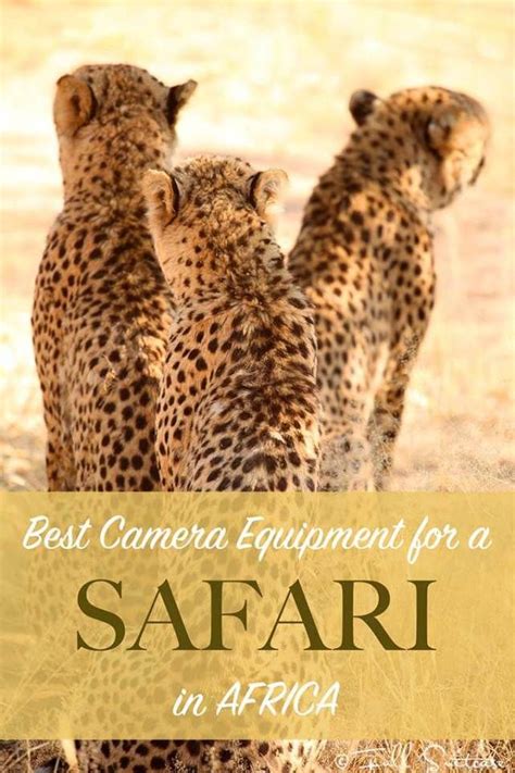 Best Camera Equipment For Safari In Africa Travel Photography Tips