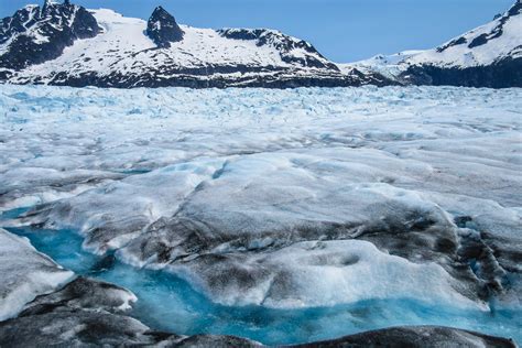 Visiting The Juneau Icefield And Mendenhall Glacier On An Alaska Cruise