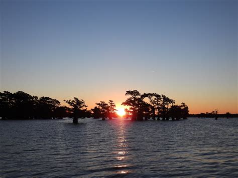 Mystique Tours Caddo - Private Tours (Karnack) - All You Need to Know