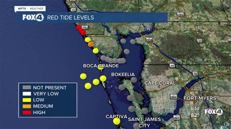 Red Tide Levels Start To Increase Off The Coast Of Southwest Florida