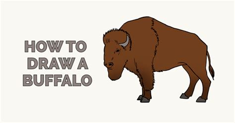 How To Draw A Buffalo Really Easy Drawing Tutorial Cute Easy Animal
