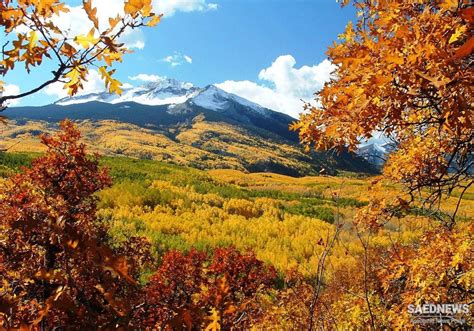 Beauty Of Autumn Golestan National Park In Iran Saednews