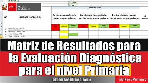 Matriz De Resultados Para La Evaluación Diagnóstica Para El Nivel Primaria