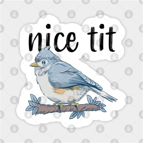 Nice Tit Funny Tufted Titmouse Bird Watching T Titmouse Magnet Teepublic