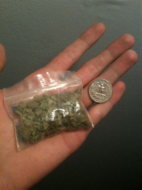 Does this look like an 1/8? : saplings