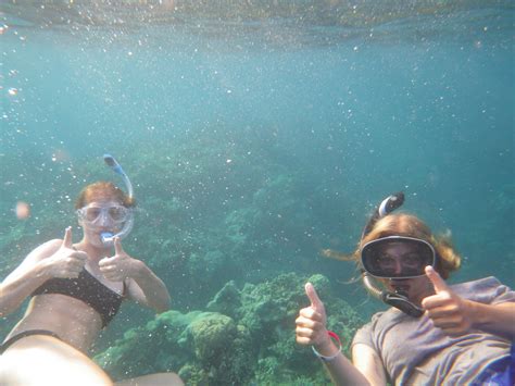 Awasome Best Time To Visit Fiji For Snorkeling Ideas