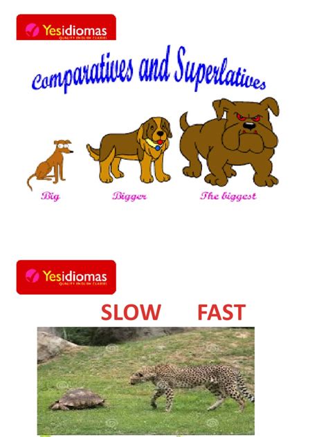 Comparisons Of Attributes Between Different Animals Objects And