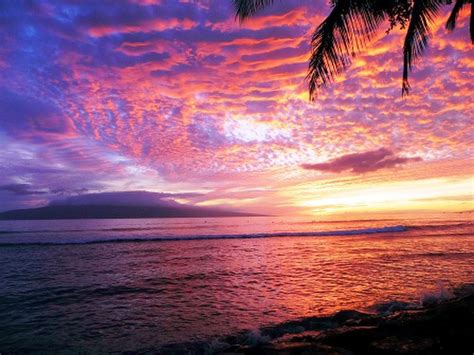 Lahaina In West Maui Has The Prettiest Sunsets In Hawaii Travel