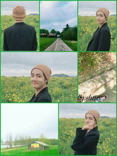 V Green Aesthetic Panorama Pictures Bts Armys Moodboards Amino