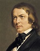 Schumann, Robert 1810-1856. Oil Photograph by Everett - Fine Art America