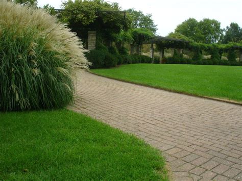 It's time to get back into the outdoors and enjoy our beautiful backyards, but for some, unfortunately their backyards give them more stress than relaxation because of their lack of beauty and greenery. prairie drop seed grass | Front yard, Grass, Landscape