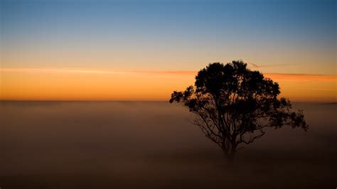 Wallpaper Sunlight Trees Sunset Sea Reflection Sunrise Evening