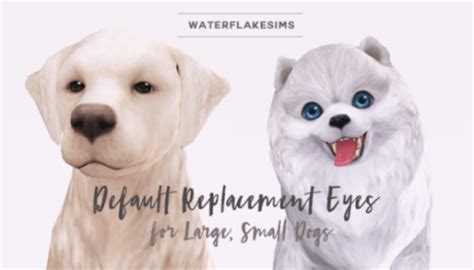 Dog Default Replacement Eyes For The Sims 4 Spring4sims Sims 4 Pets