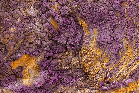 Check spelling or type a new query. Free photo: Charred Wood Texture - Purple Gold HDR - Backdrop, Lines, Raw - Free Download - Jooinn