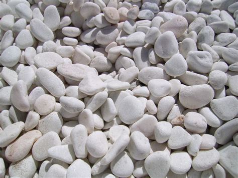 Dedetização veícular em são paulo no jardim pedra branca. Pedra Decorativa Branca para jardim Seixo, Godo, Rolada ...