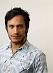 Picture of Gael García Bernal