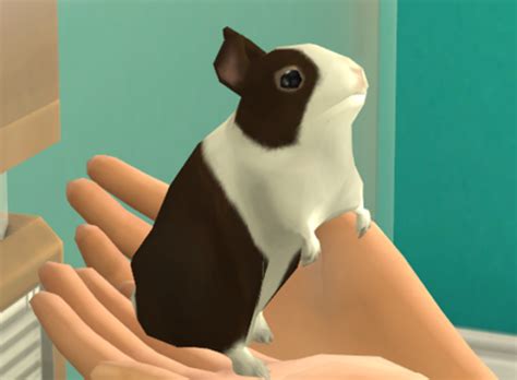 The Sims 4 My First Pet Stuff Archives Simsvip