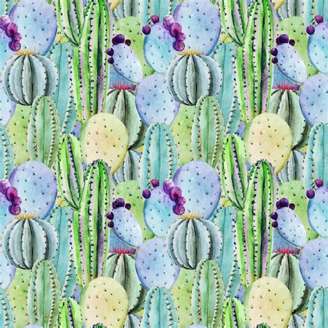 Cactus Seamless Patterns Stock Vector Zeninaasya