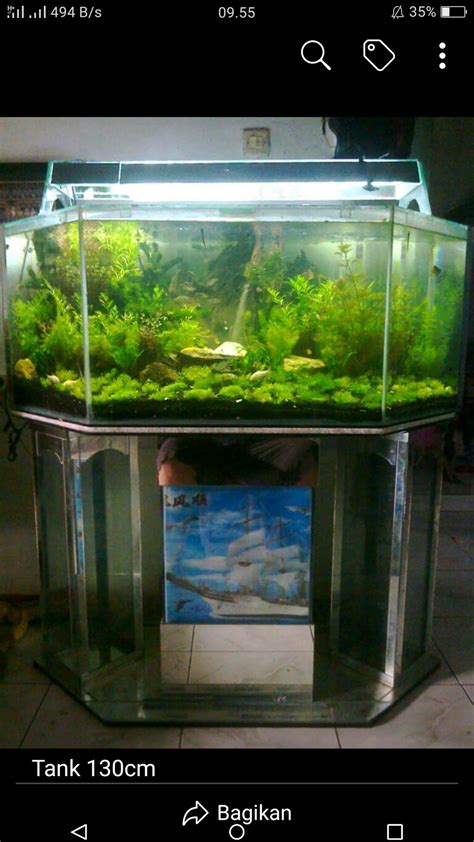 Aquarium unik, denpasar, bali, indonesia. Jual Aquarium Unik Aqua Scape di lapak hendra galuh hendra_galuh