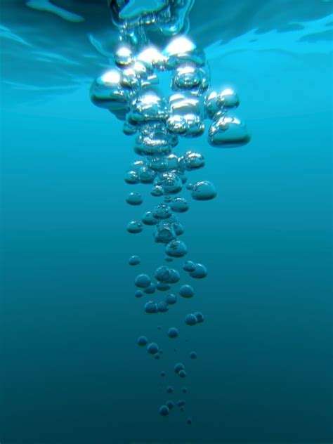 Pin By Robi Sr On Wonderful World Of Bubbles Underwater Bubbles