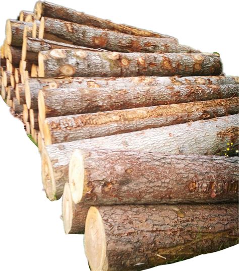 Firewood Stick Png Png Image Collection