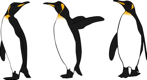 Clipart Three King Penguins
