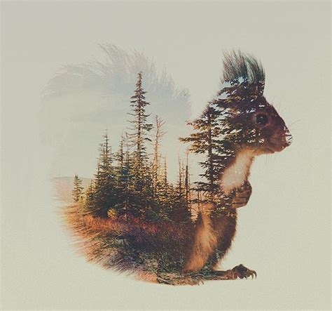 30 Best Double Exposure Photography Examples A New Photo