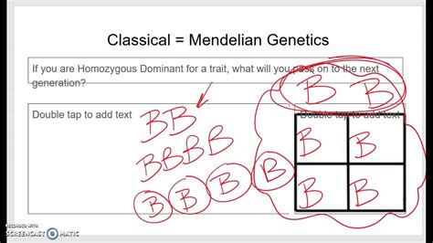 Why do you think there are 2 letters for each trait? Genetics 5 Punnett Square Ms. Shimel - YouTube